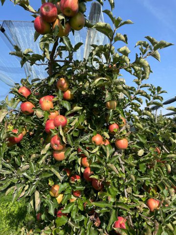 kcr_herbstwanderung_20231008_46.45_ea9d6ebe