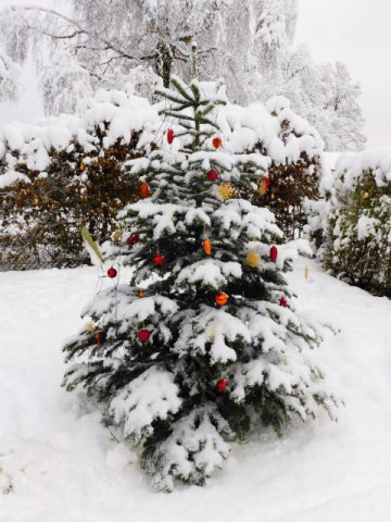 kcr_adventsfeuer_20231202_163050_P1090484