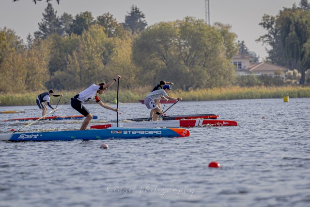 sup_dm_brandenburg_2024-10-19_10-16-16_E21A1316-