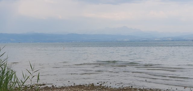 SUP_Bodensee_Challenge_Friedrichshafen_01